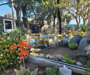 Animal & Bird Hospital of Del Mar