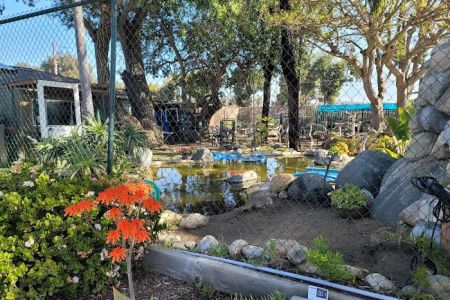 Animal & Bird Hospital of Del Mar