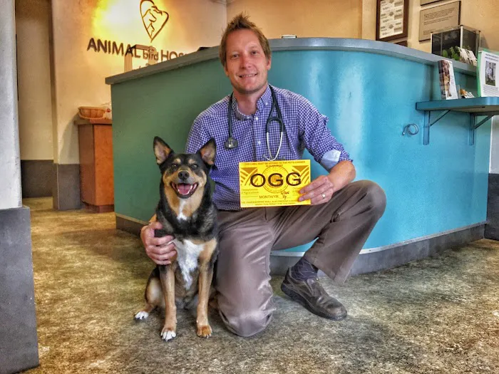 Animal & Bird Hospital of Del Mar 9