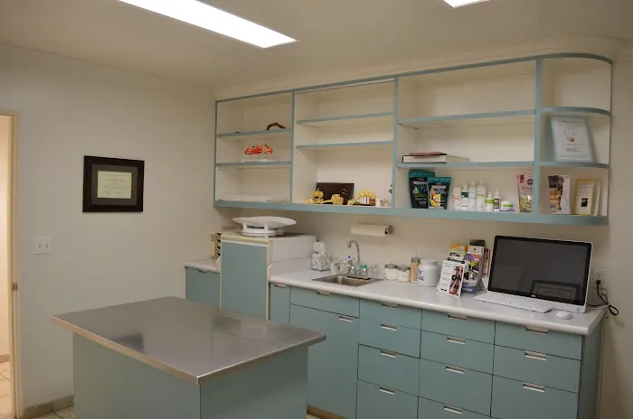 Animal & Bird Hospital of Del Mar 6