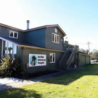 Del Mar Veterinary Hospital ico
