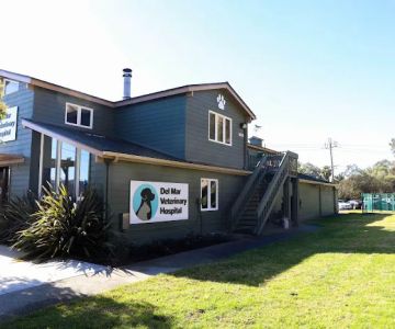 Del Mar Veterinary Hospital