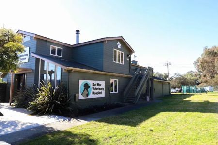 Del Mar Veterinary Hospital