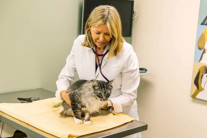 Del Mar Veterinary Hospital 3