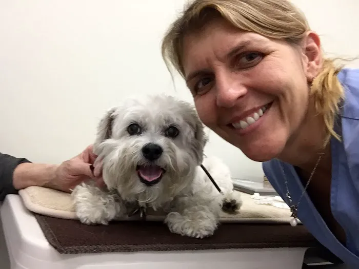 Integrative Veterinary Care 12