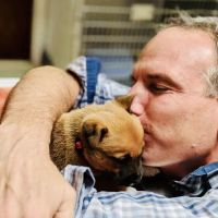 Academy Animal Hospital ico