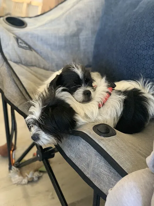 Banfield Pet Hospital 2