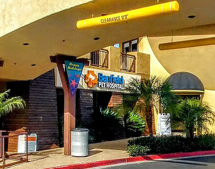 Banfield Pet Hospital 3