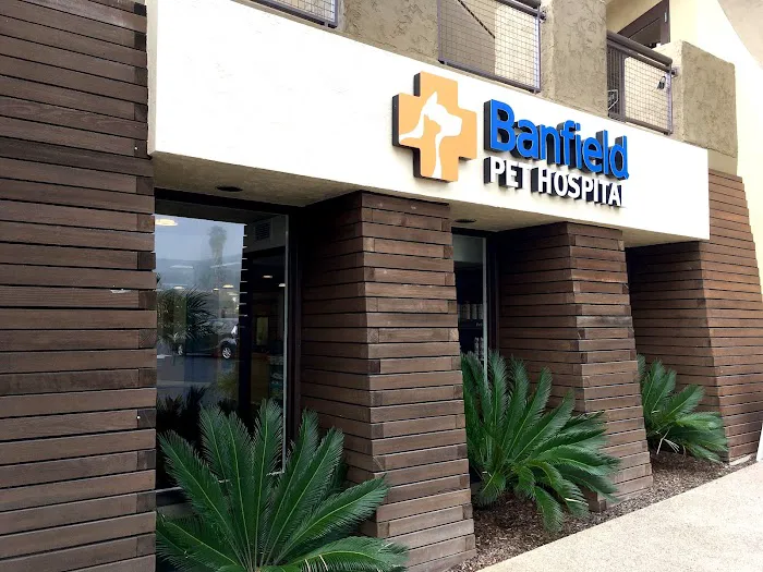 Banfield Pet Hospital 4