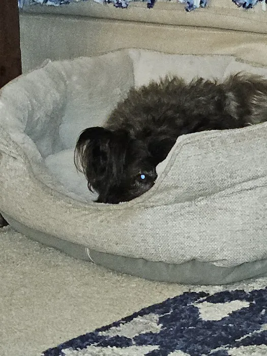 Banfield Pet Hospital 9
