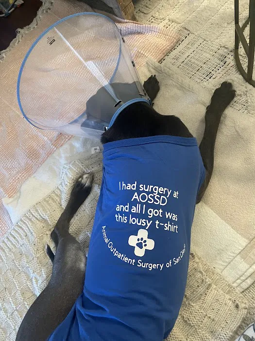 Animal Outpatient Surgery of San Diego and Blue Sky Veterinary Services, Inc. 9