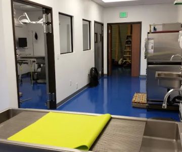 Animal Outpatient Surgery of San Diego and Blue Sky Veterinary Services, Inc.