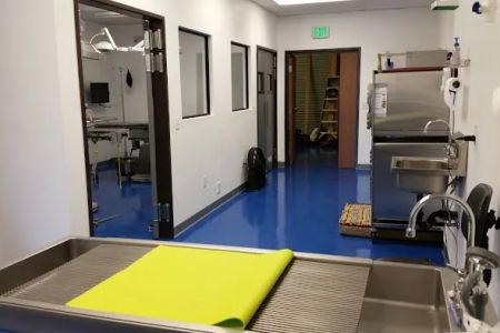 Animal Outpatient Surgery of San Diego and Blue Sky Veterinary Services, Inc.