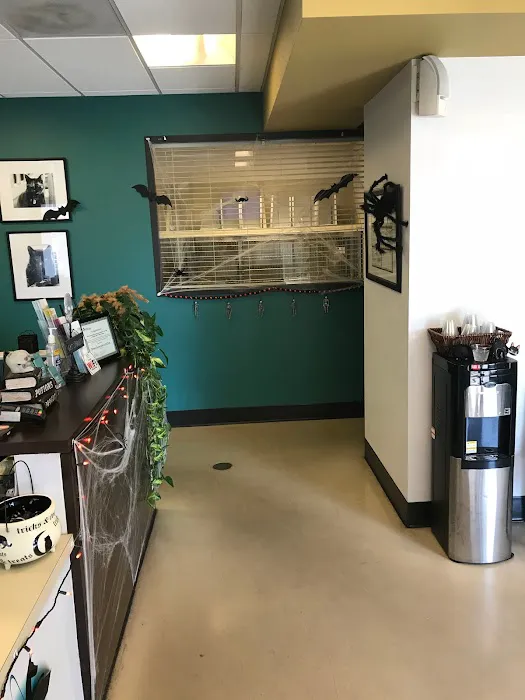 Veterinary Imaging Center of San Diego 6