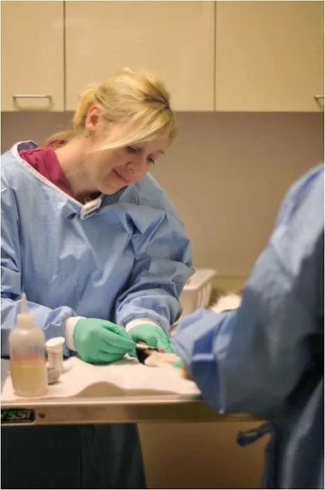 Veterinary Imaging Center of San Diego 3