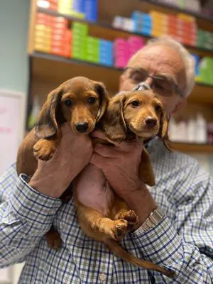 Lindsey Vet Care 12