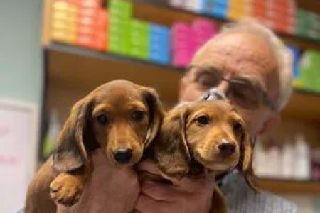 Lindsey Vet Care