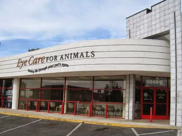 Eye Care for Animals - San Diego 2