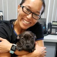 Ark Animal Hospital ico