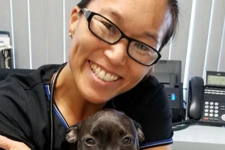 Ark Animal Hospital