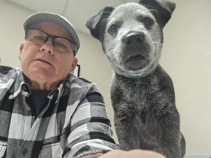 Ark Animal Hospital 7