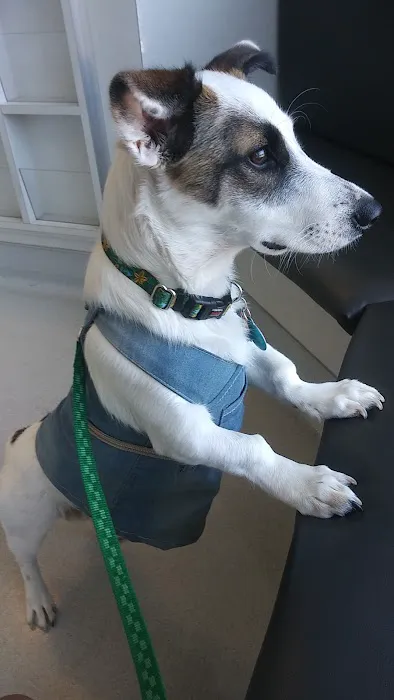 Ark Animal Hospital 5