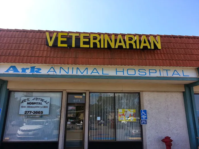 Ark Animal Hospital 6