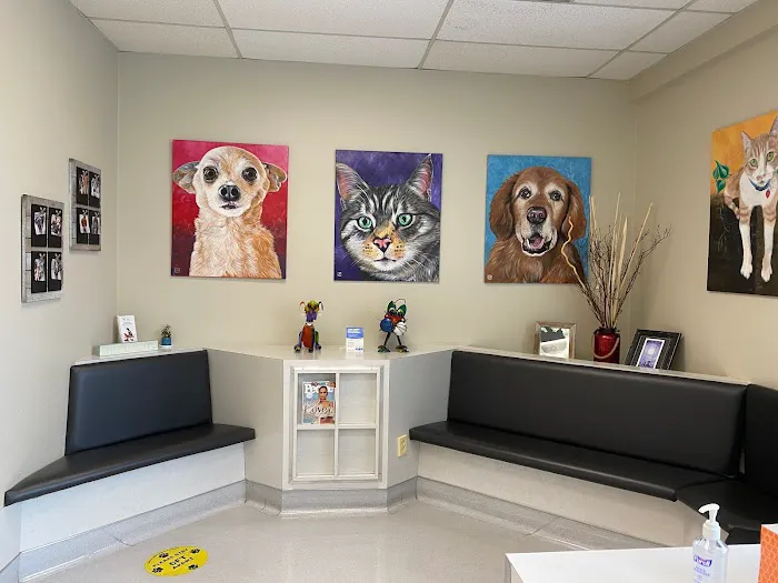Ark Animal Hospital 2