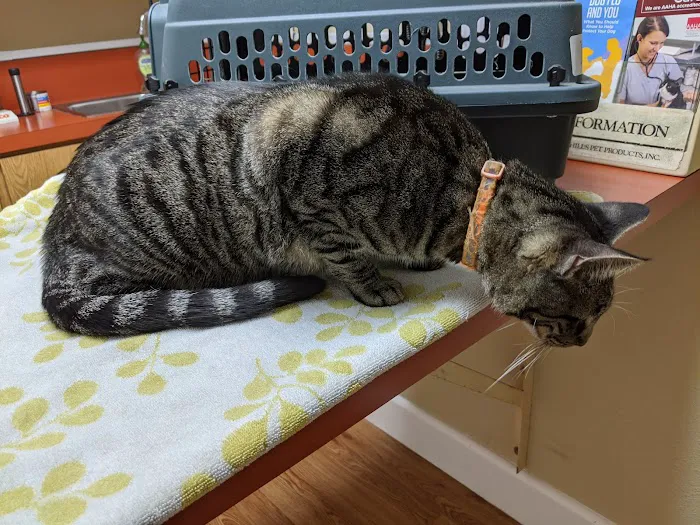 Kearny Mesa Veterinary Center 12