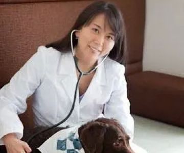 St. Charles Veterinary Clinic: Dr. Kim Labak