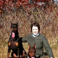 St. Charles Veterinary Clinic: Dr. Liv Kismartoni ico