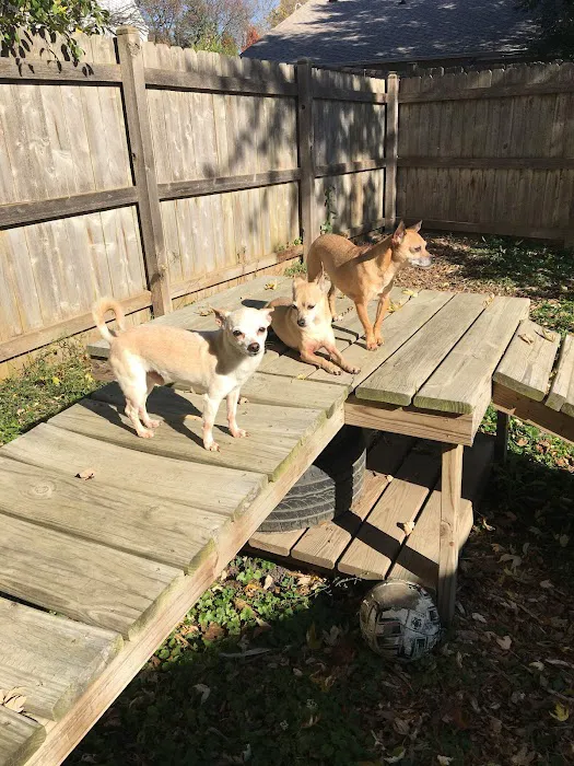 St. Charles Veterinary Clinic 4