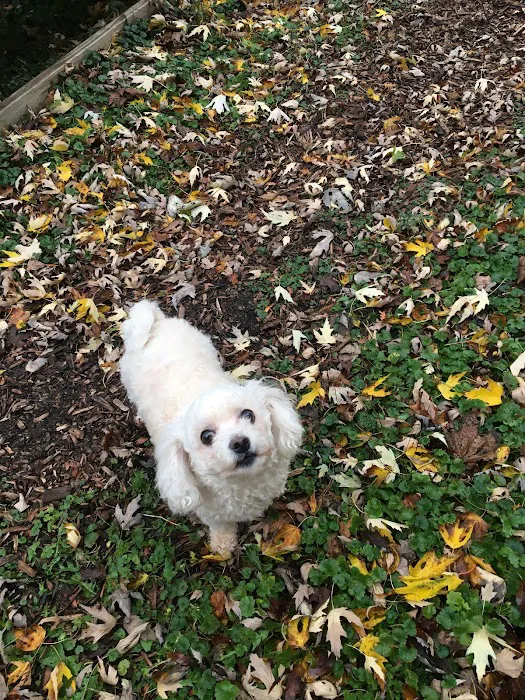 St. Charles Veterinary Clinic 7