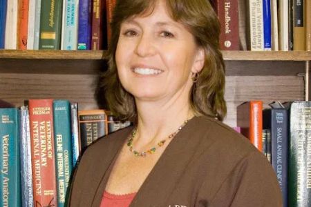 St Charles Veterinary Clinic: Novak Gail A DVM