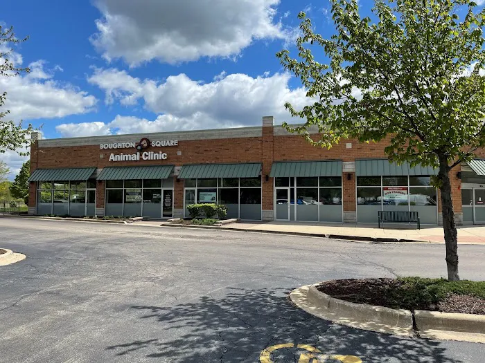 Boughton Square Animal Clinic 1
