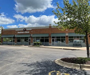 Boughton Square Animal Clinic