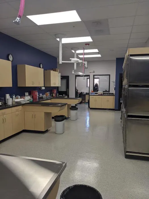 Boughton Square Animal Clinic 3