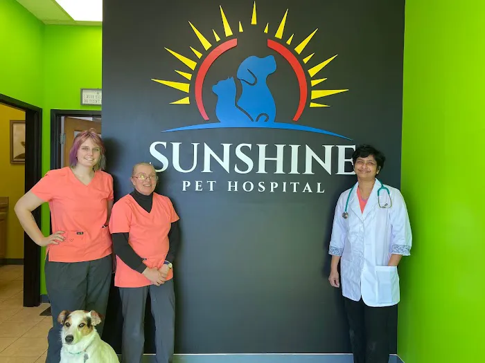 Sunshine Pet Hospital 7