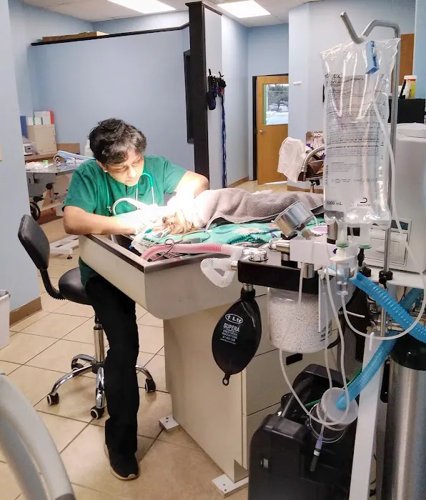 Sunshine Pet Hospital 5
