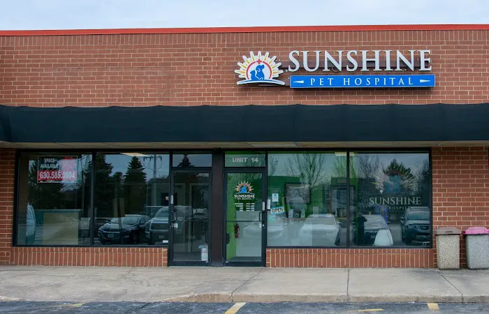 Sunshine Pet Hospital 8