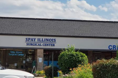 Paws For A Cause Vet Care