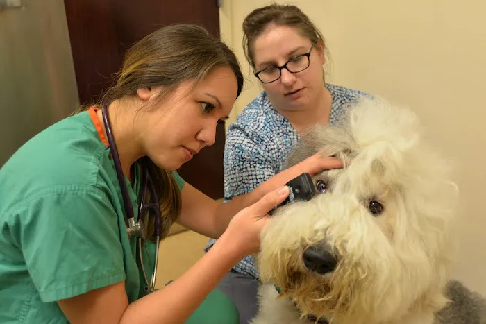 Archer Veterinary Clinic 12