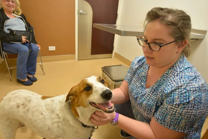 Archer Veterinary Clinic 12