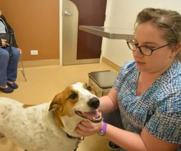 Archer Veterinary Clinic