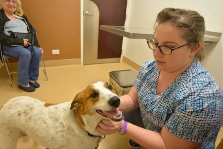 Archer Veterinary Clinic