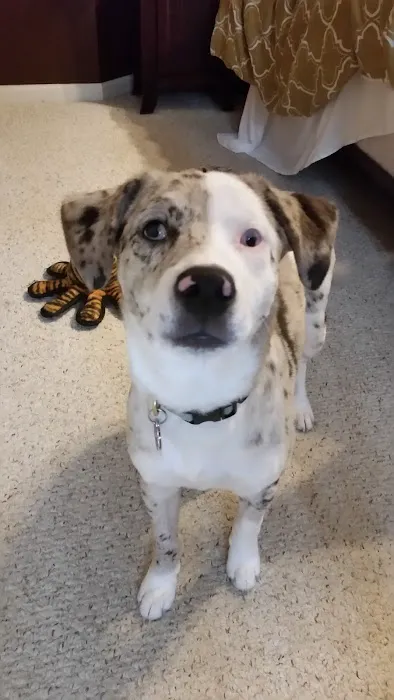 Eola Point Animal Hospital 12