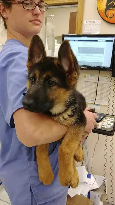 Eola Point Animal Hospital 12