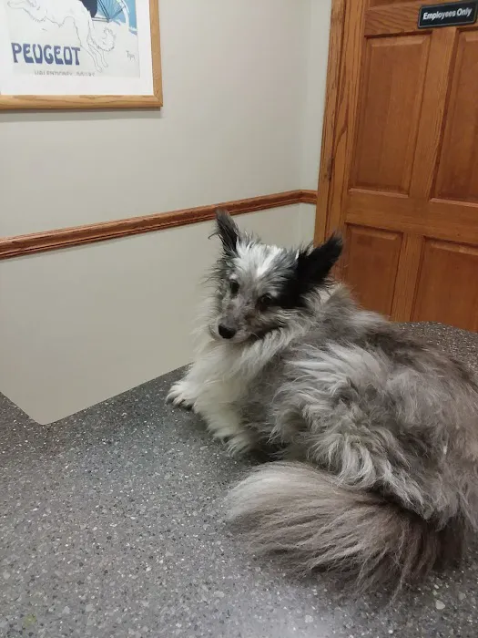 Eola Point Animal Hospital 12