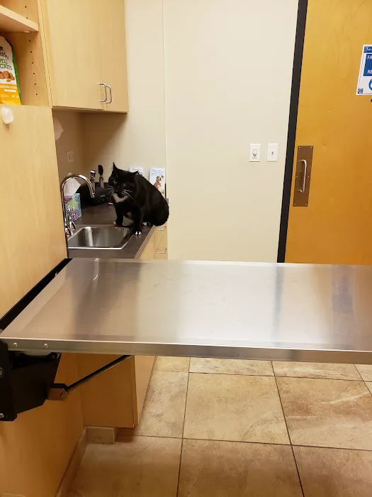 Oakhurst Animal Hospital 12