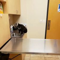 Oakhurst Animal Hospital ico